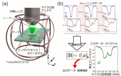 （a）は実験装置の模式図。対物レンズを通してレーザを照射し、ナノダイヤモンドの発光を測定する。（b）は機械学習の模式図。ナノダイヤモンドのスペクトルを複数の磁場強度で測定したものを学習データとする。機械学習によってスペクトルを磁場強度に変換する関数を得る（出所：東京大学大学院）