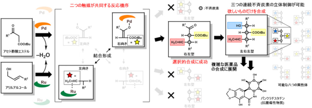 産総研などが複雑な光学異性体化合物の新合成法、創薬研究加速へ | 日経クロステック（xTECH）