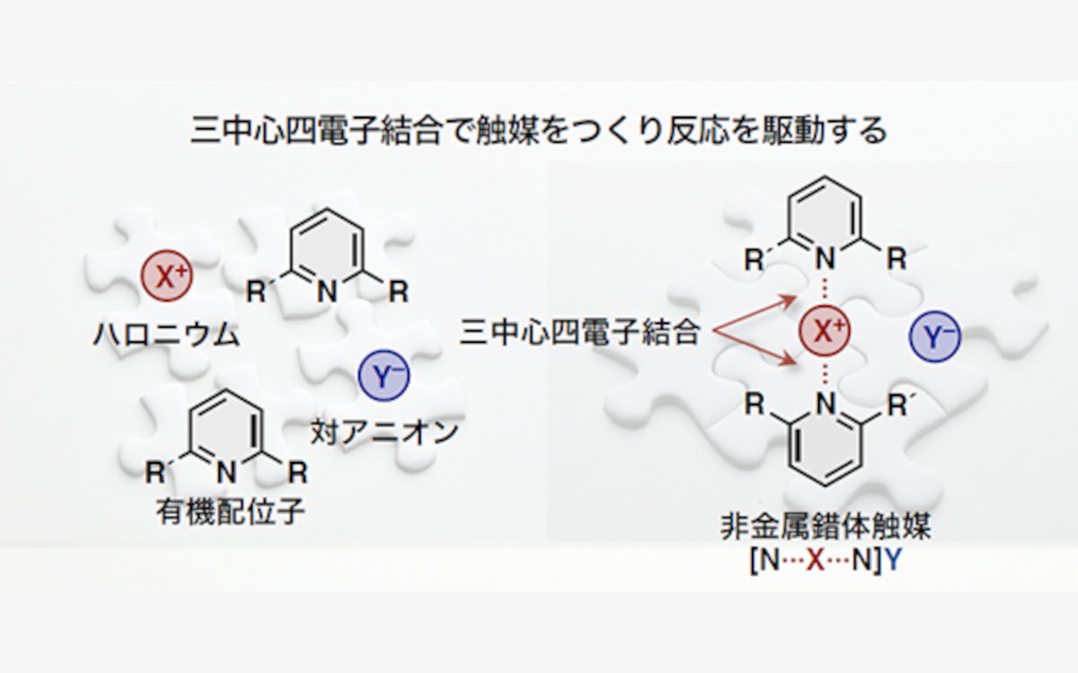 分子科学研究所がハロゲン触媒を開発、少量で有機合成反応 | 日経クロステック（xTECH）