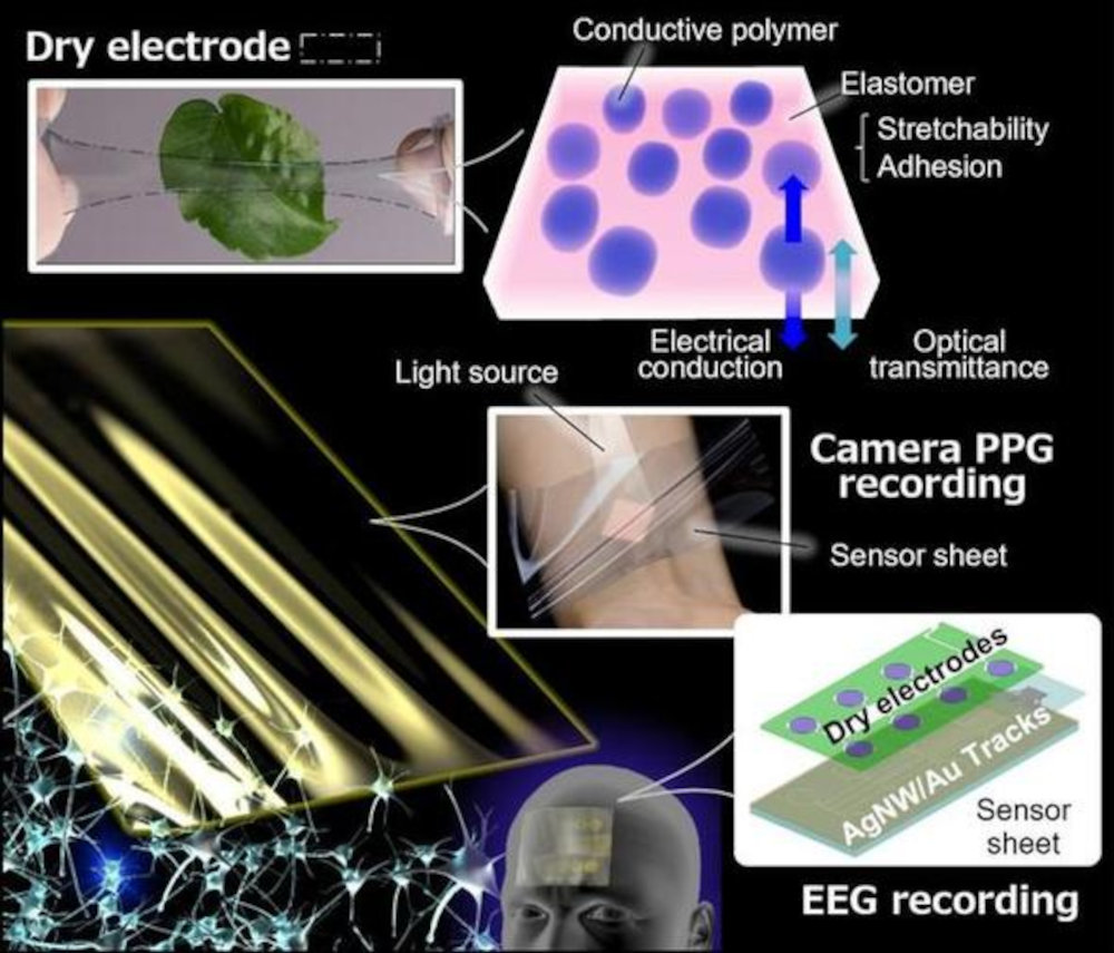 大阪大学が生体ドライ電極とセンサー開発、医療機器品質の信号計測