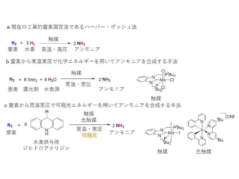 東京大学などが可視光エネルギーで窒素からアンモニア、常温・常圧で反応