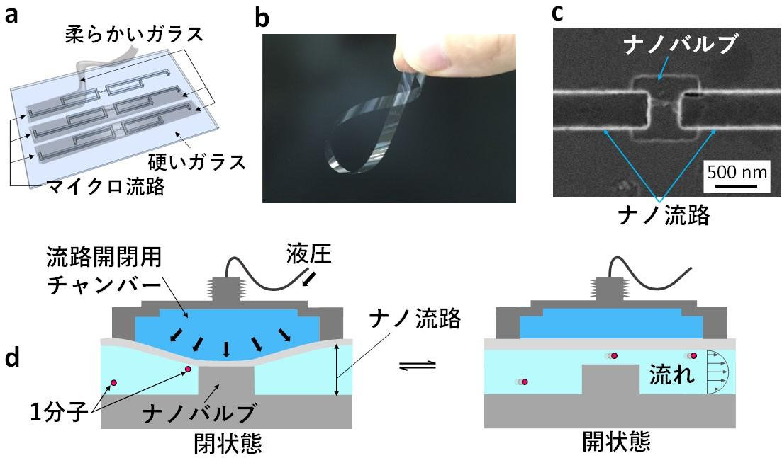 aはナノバルブによる1分子流れ制御用ナノ流体デバイスの模式図、bは柔らかいガラスのデジタル写真、cはナノバルブの電子顕微鏡画像、dはナノバルブ動作原理の模式図（出所：大阪公立大学）