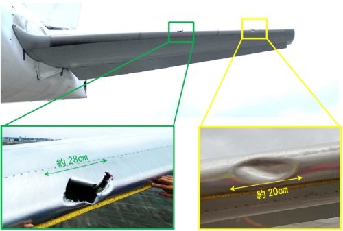図7　左側水平尾翼前縁の損傷