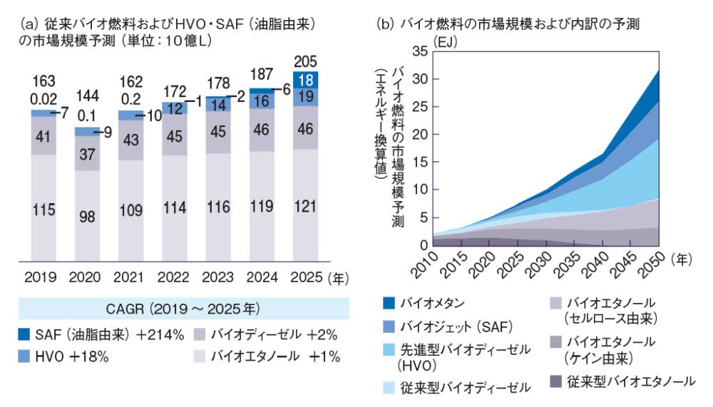 第2～3世代に期待のバイオ燃料 | 日経クロステック（xTECH）