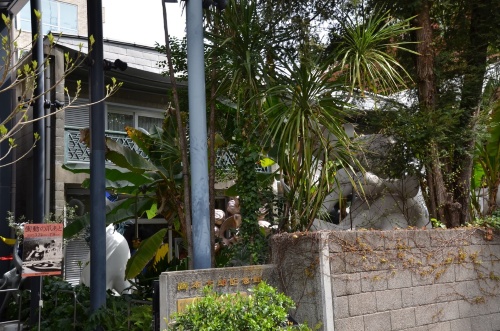 バショウ、シダ類、雑草などが自然のままに生い茂る庭。古代遺跡の雰囲気がある(写真:渡辺 圭彦)