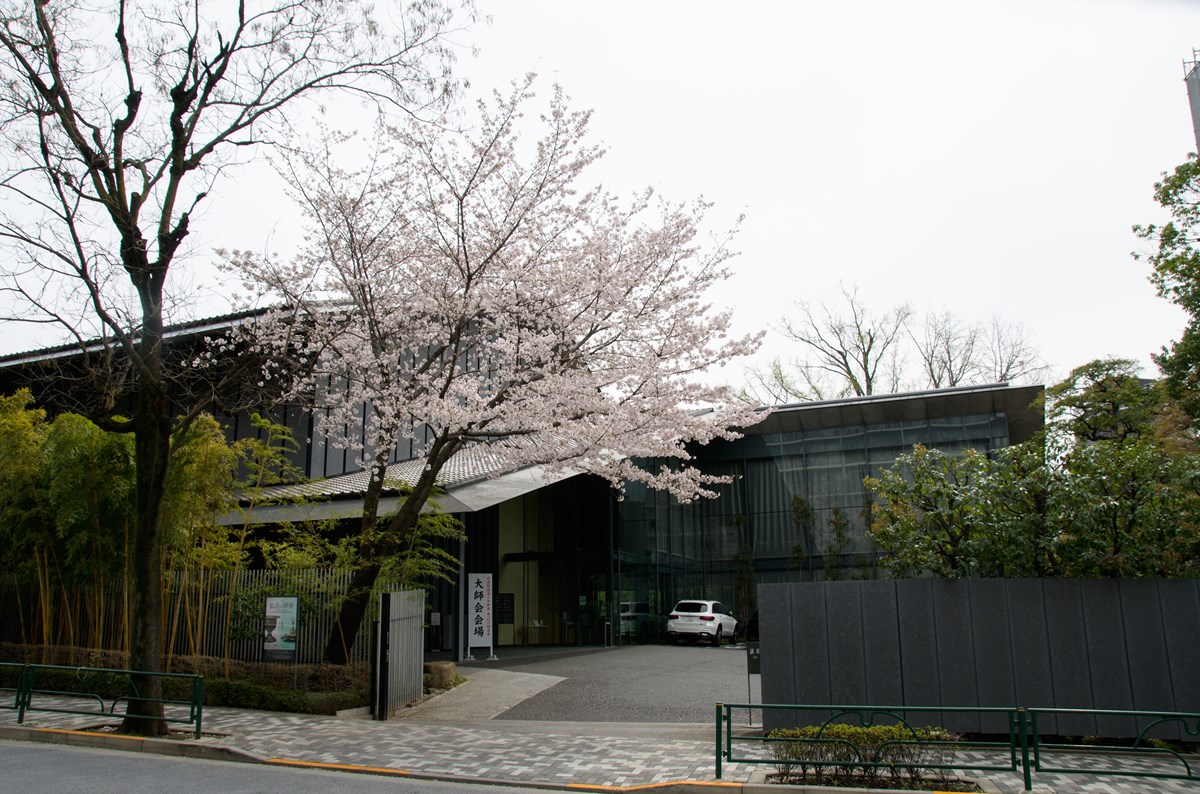 「根津美術館」（東京都港区南青山6-5-1）の駐車場入り口では、見事な桜が通行人の目を引いていた（写真：渡辺 圭彦）