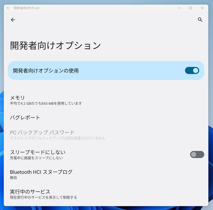 WSAの開発者向けオプションを有効にすると、Android OSの開発向けオプション画面を起動できる