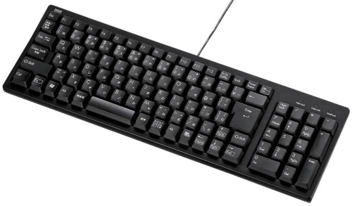 有線キーボードは接続端子を必ず確認する。写真はUSBとPS/2の両方の端子に対応するサンワサプライ「SKB-KG2BKN2」(実売価格は2440円)