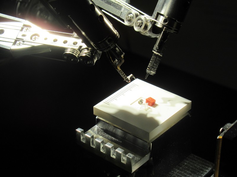 ソニーグループの遠隔ロボット技術、「10倍」繊細な触覚フィードバック
