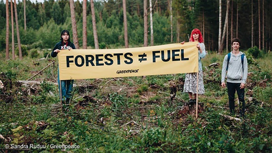 輸入バイオマス発電の将来、問われる持続可能性