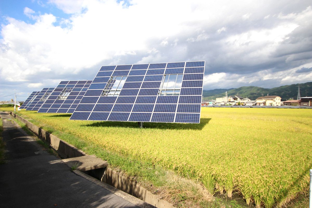 天理の田んぼで、2軸追尾型による営農型太陽光 | 日経クロステック