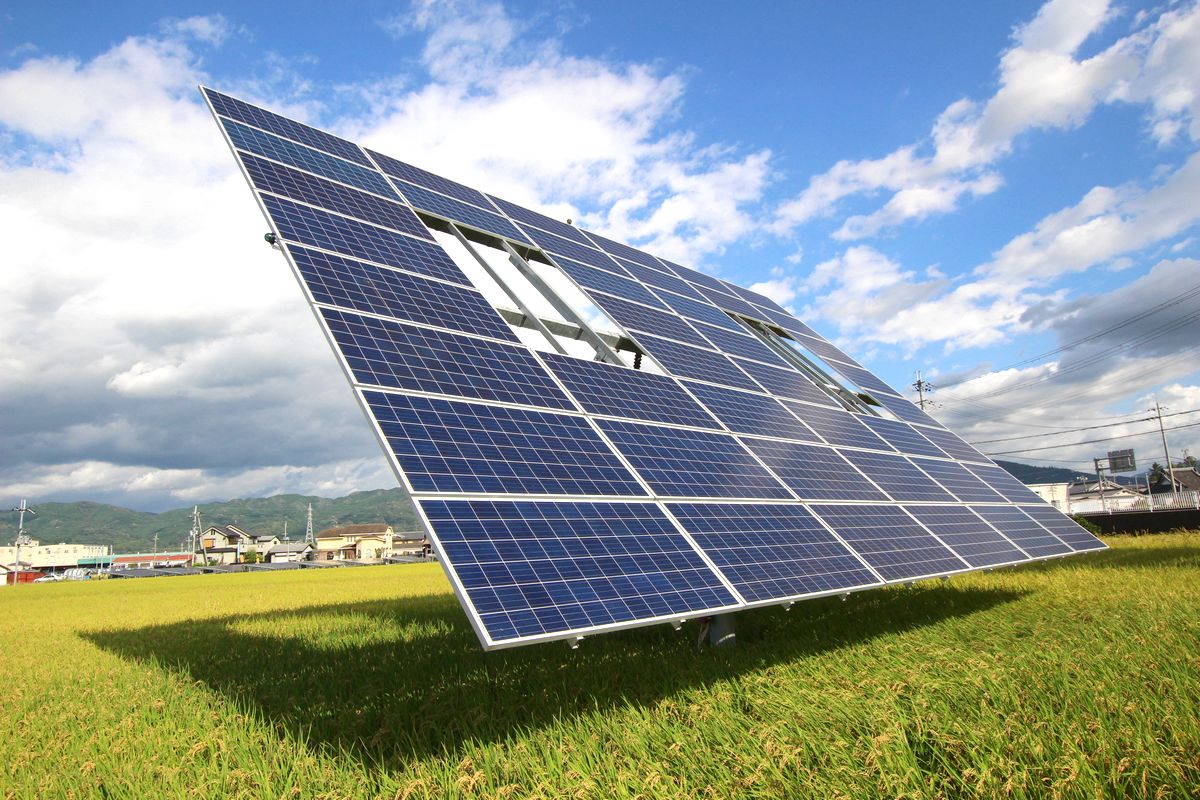 天理の田んぼで、2軸追尾型による営農型太陽光 | 日経クロステック