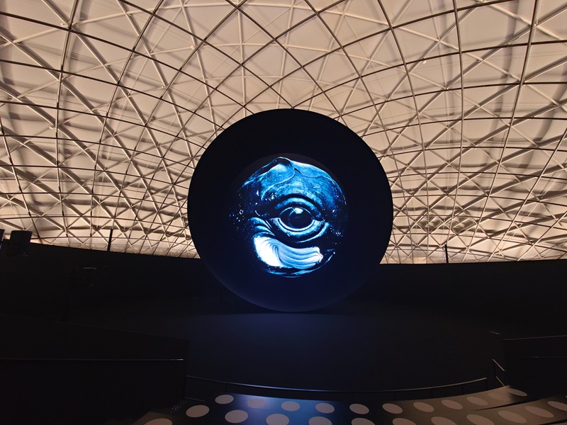万博に世界初のCFRP構造ドーム建築、坂茂氏が設計した「BLUE OCEAN