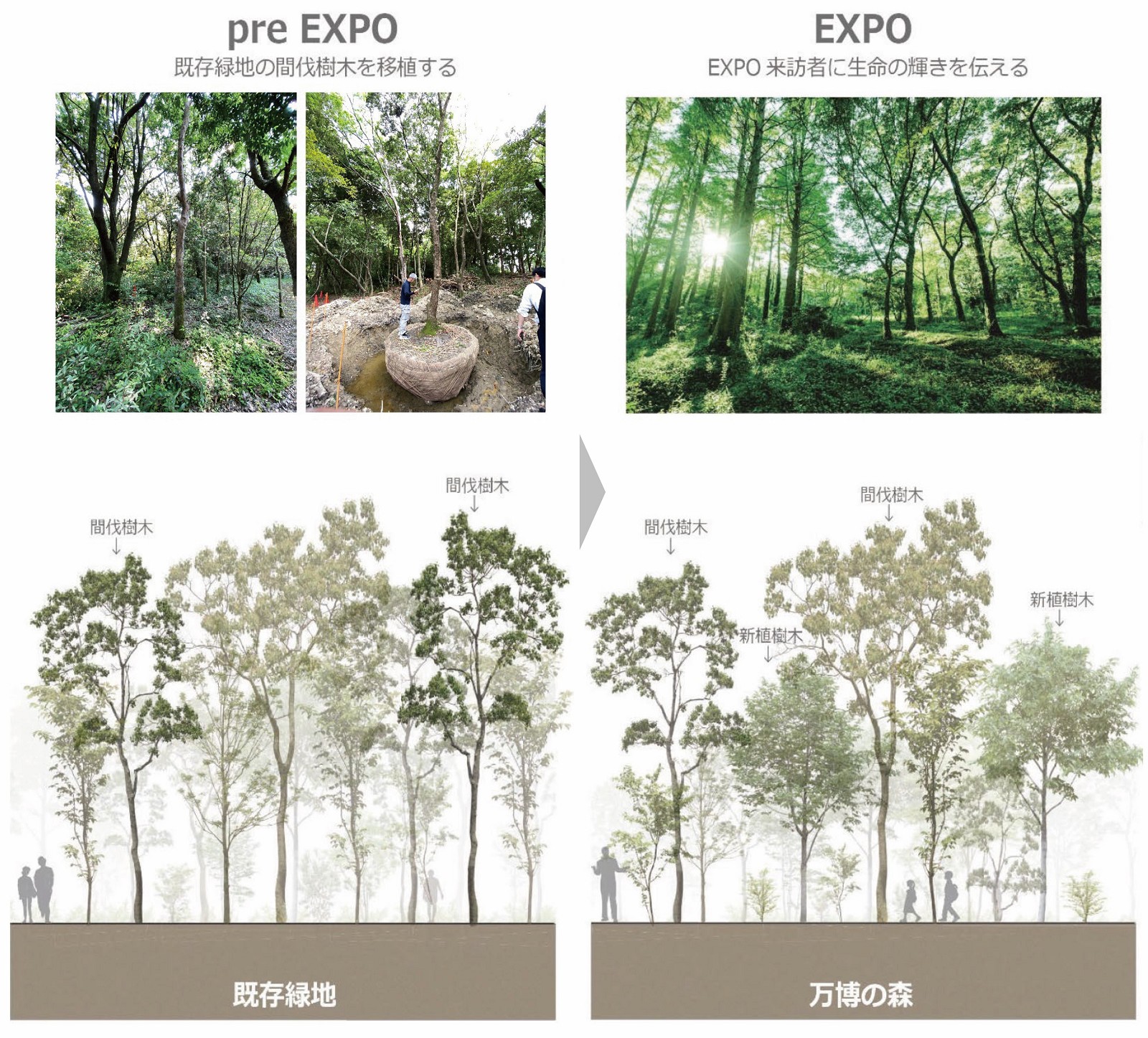 森の木 VTG SINGER Pro Buttonholer Slant Needle Zig-Zag Sewing Part 161829