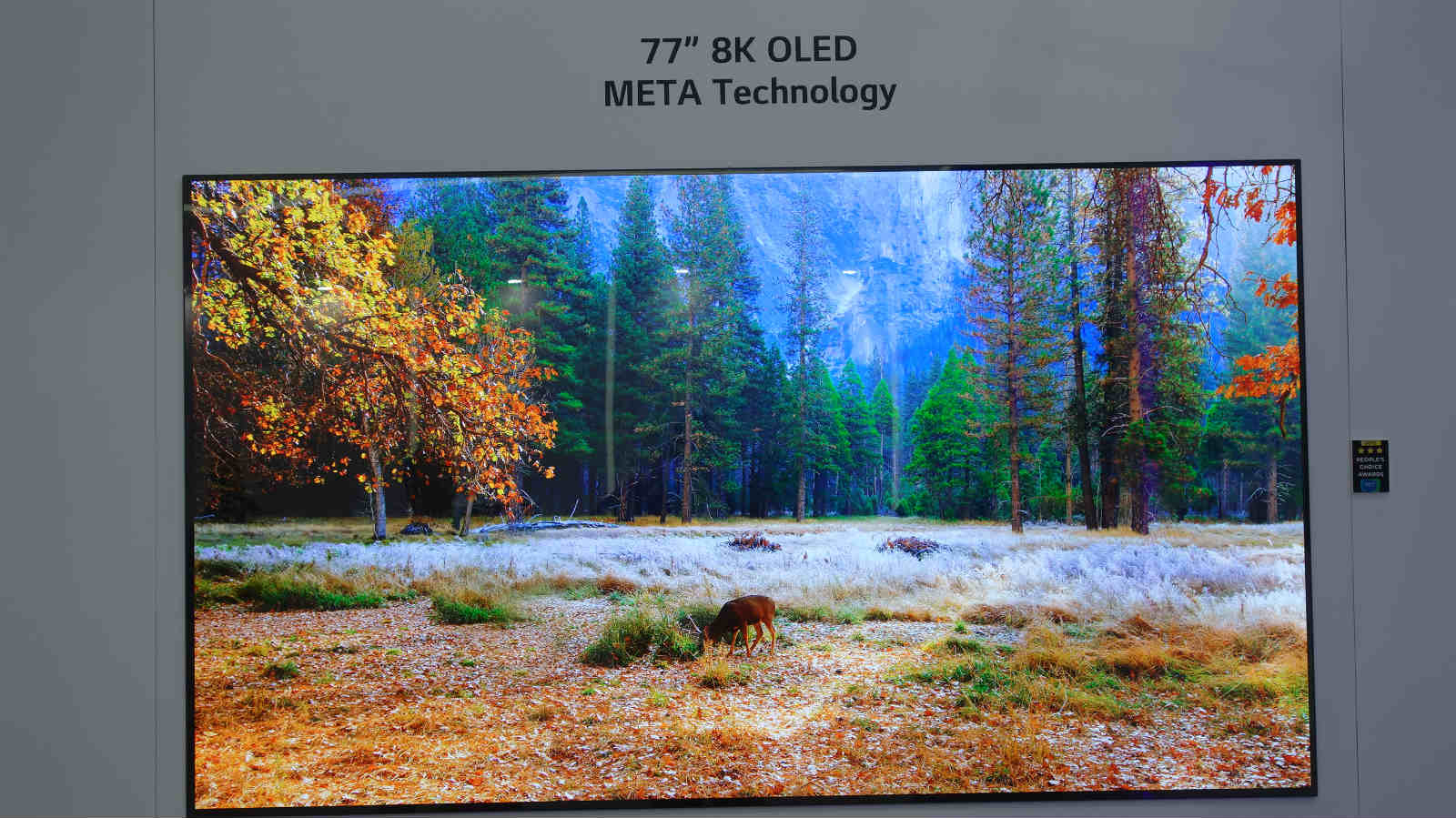 図10　77型8K OLED TVの表示画像