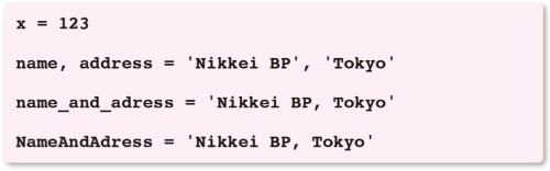 リスト5●「input.py」。変数名にスペルミスがある