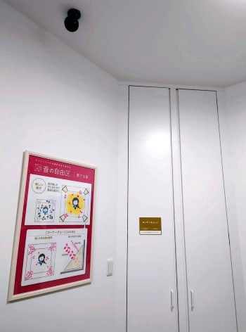 部屋の角の扉は天井までの高さがある。普通、角には扉を設けないが、この先はどうなっているのか(写真:日経クロステック)