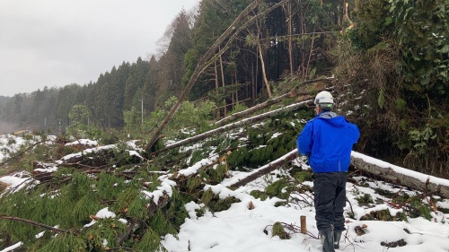 倒木の撤去も啓開作業の1つ(写真:石川県建設業協会)