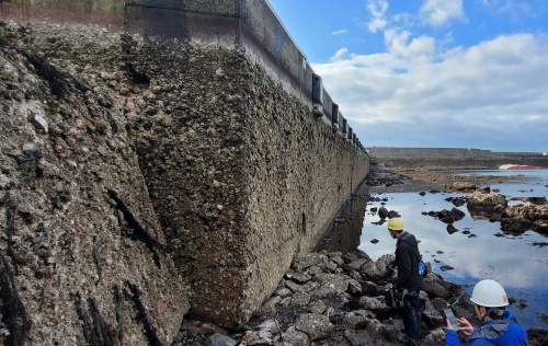 地盤が約4m隆起した鹿磯漁港(写真:青木 賢人)