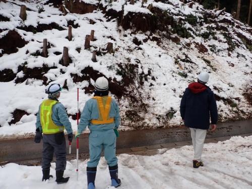 建設コンサルタント会社による現地調査の様子。左の2人は大日本ダイヤコンサルタントの社員(写真:大日本ダイヤコンサルタント)