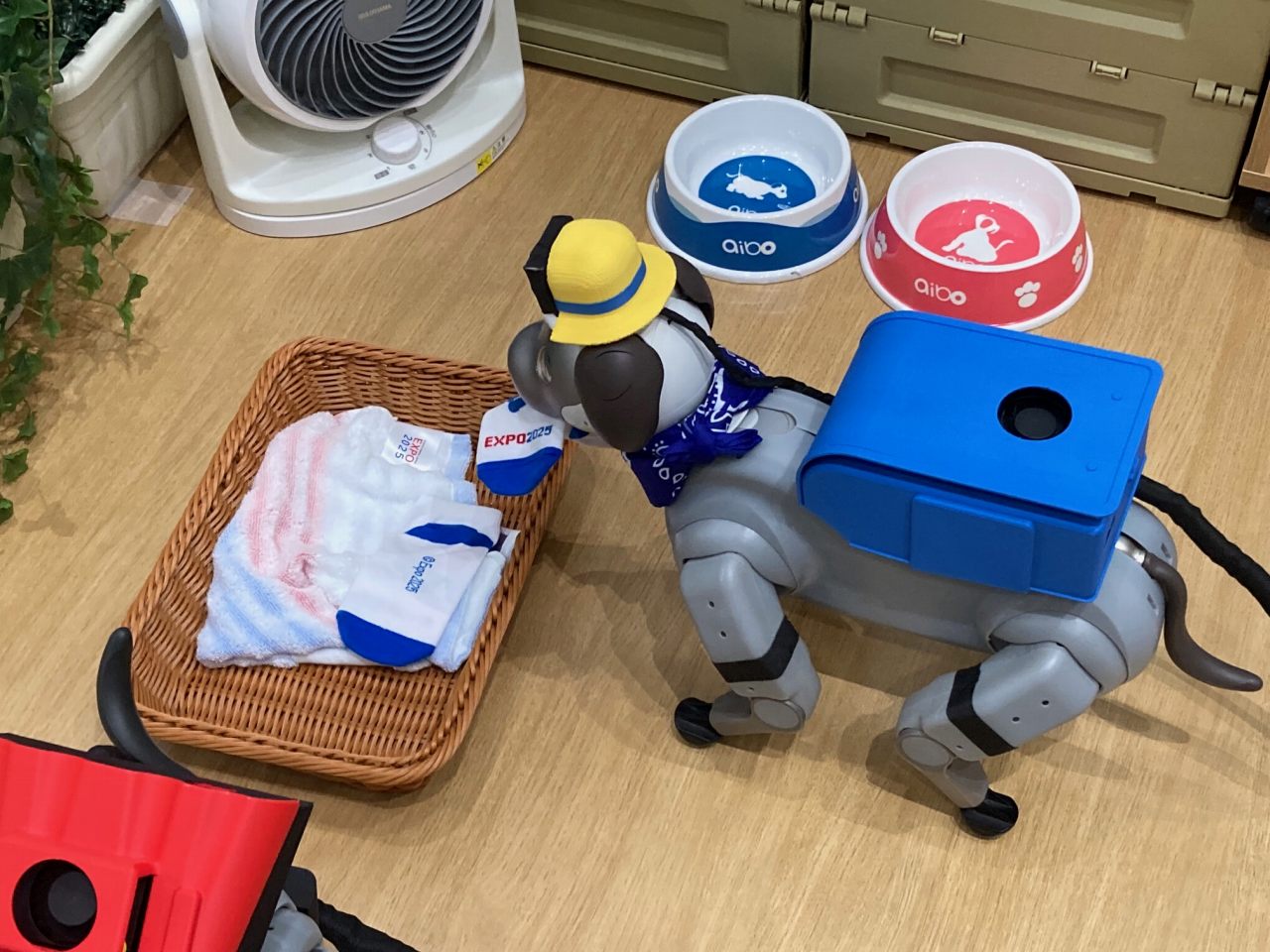 進化版aiboが見せた可能性、お手伝いでより愛される存在に 万博で初