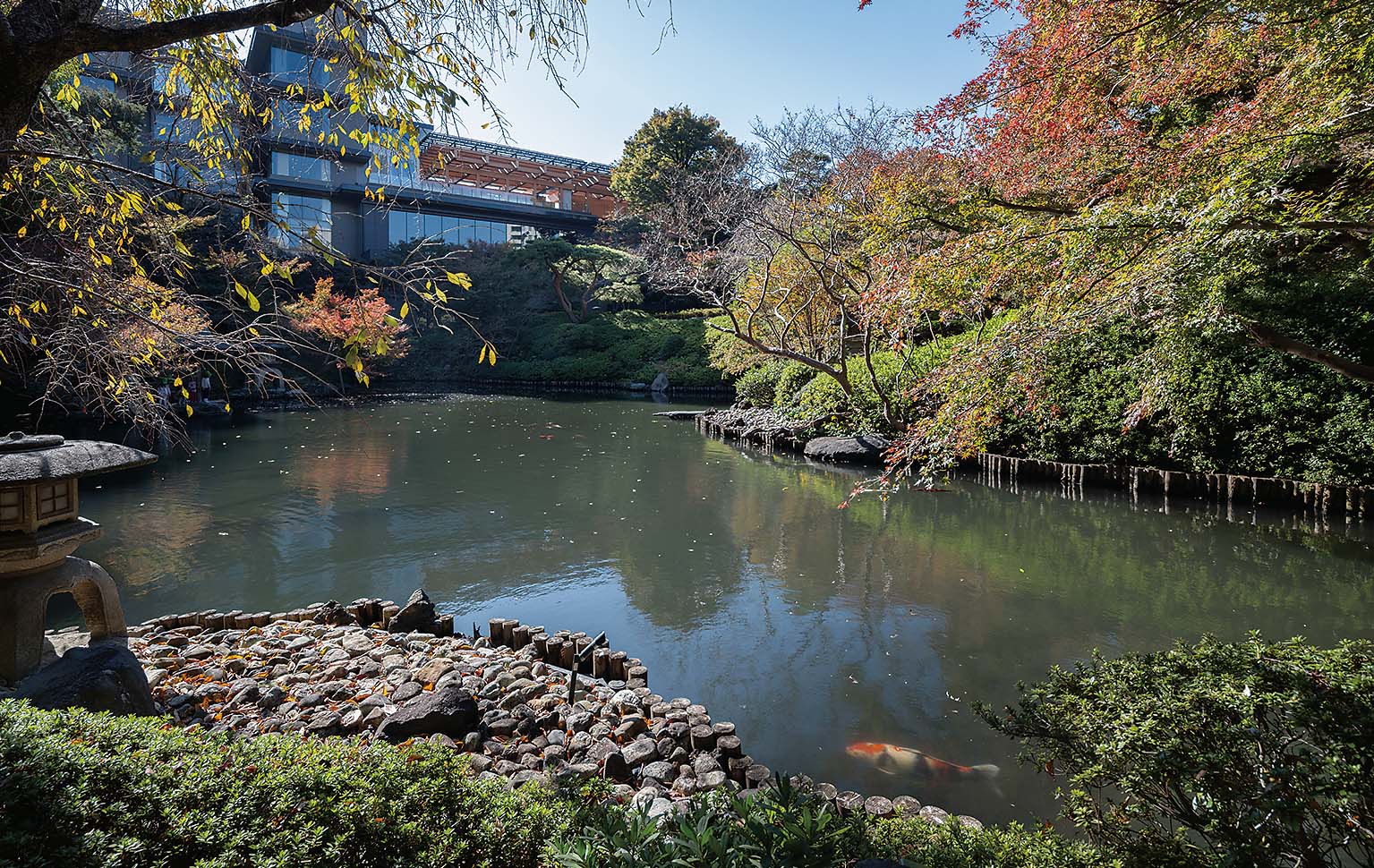 八芳園が築49年の本館を刷新、歴史ある式場を木で新たな装いに（3