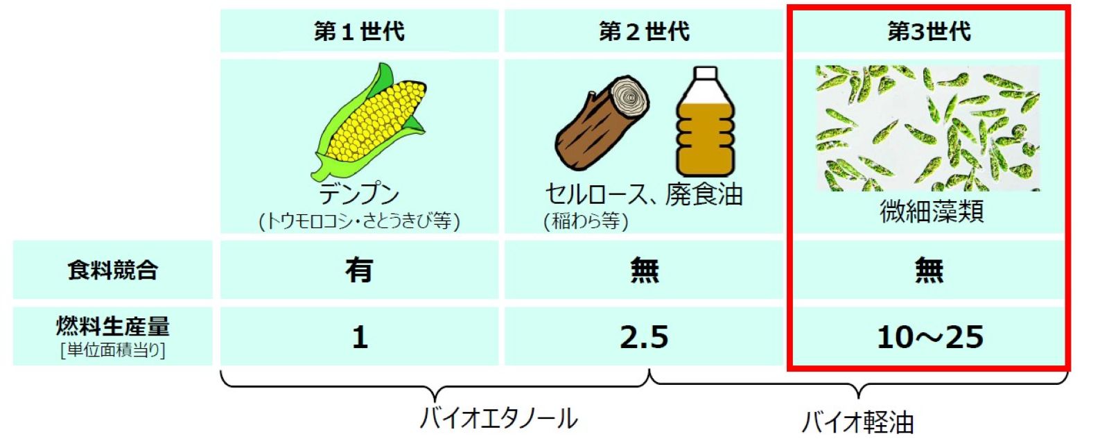 マツダ、微細藻類でバイオ燃料 コストの壁「食品サプリ」が突破口（2