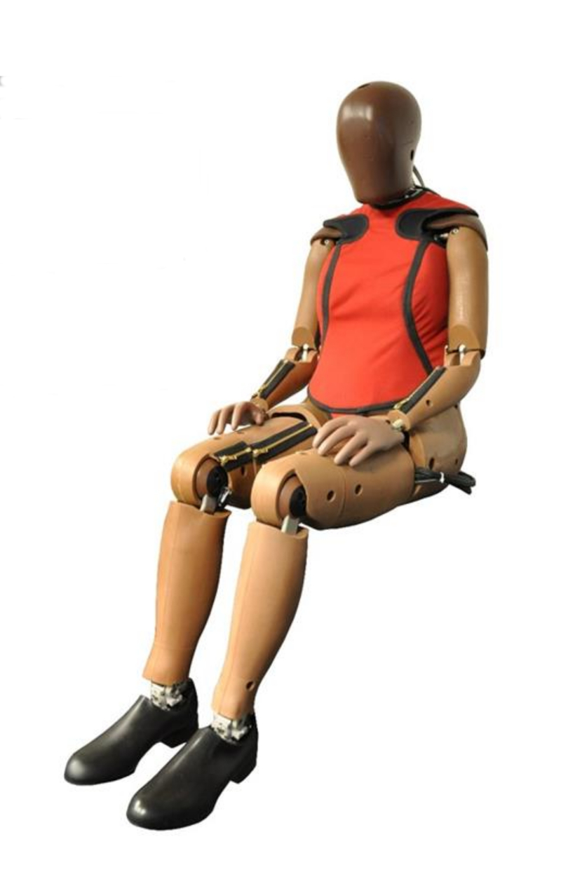 【中古】 実験人形ダミー・オスカー（プラズマの女、ベティ・バレンタ） 米運輸省が女性ダミー人形を刷新、小柄な体形を再現 | 日経クロス