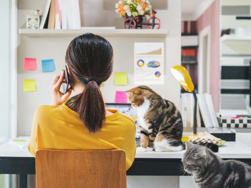 在宅勤務の生産性が高い人ほど当てはまる、特有の課題とは