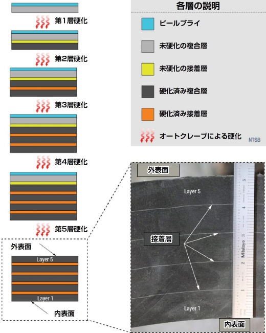「硬化済み複合層・接着層・未硬化の複合層」の順で重ね、オートクレーブで成形した。ピールプライは表面品質を確保するために表面に被せるシートで、熱硬化後に剥がす(出所:NTSBの資料を基に日経クロステックが編集)