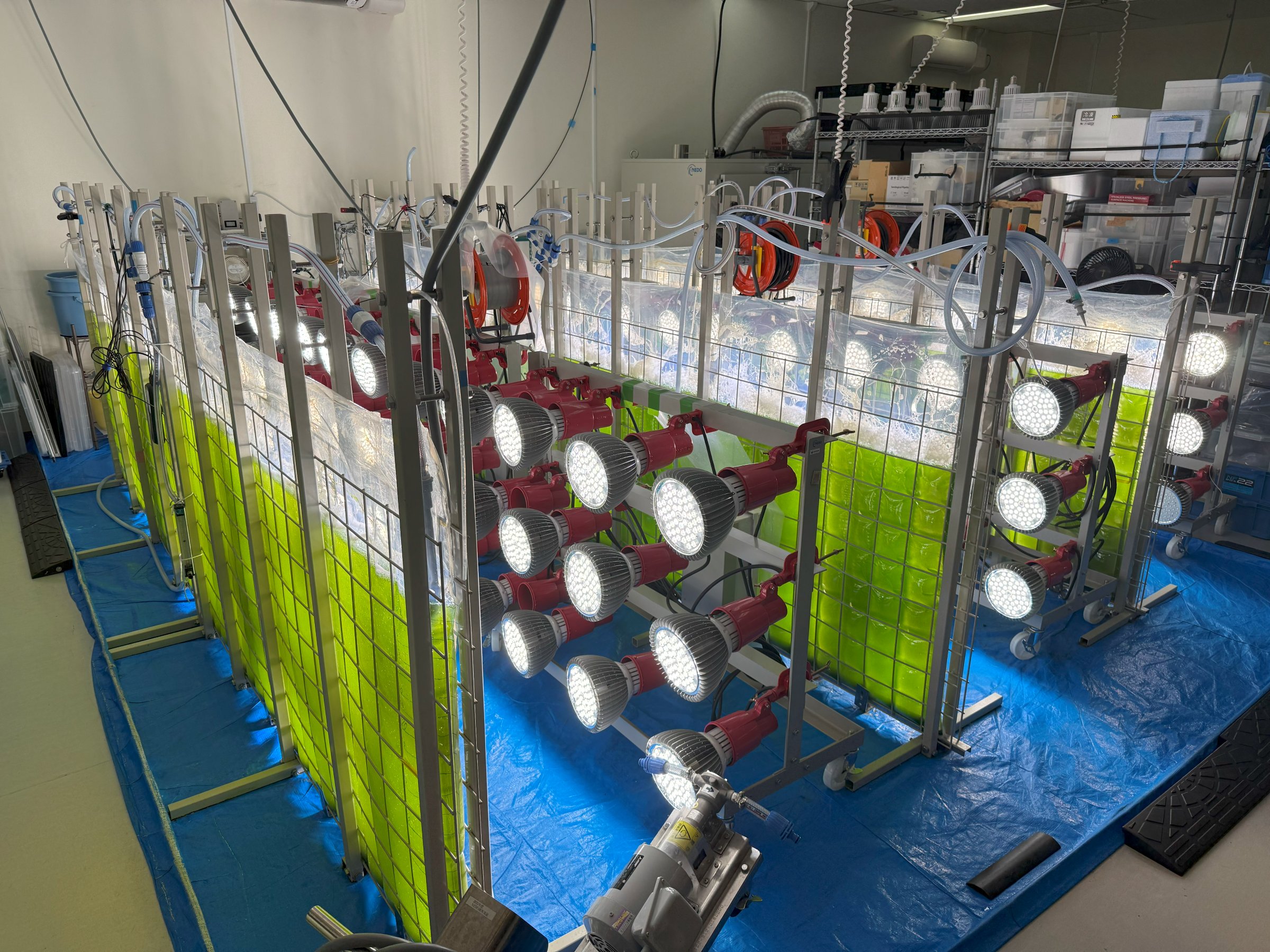 万博・日本館の主役は微細藻類ものづくり、発電所のCO2で大量培養も（2