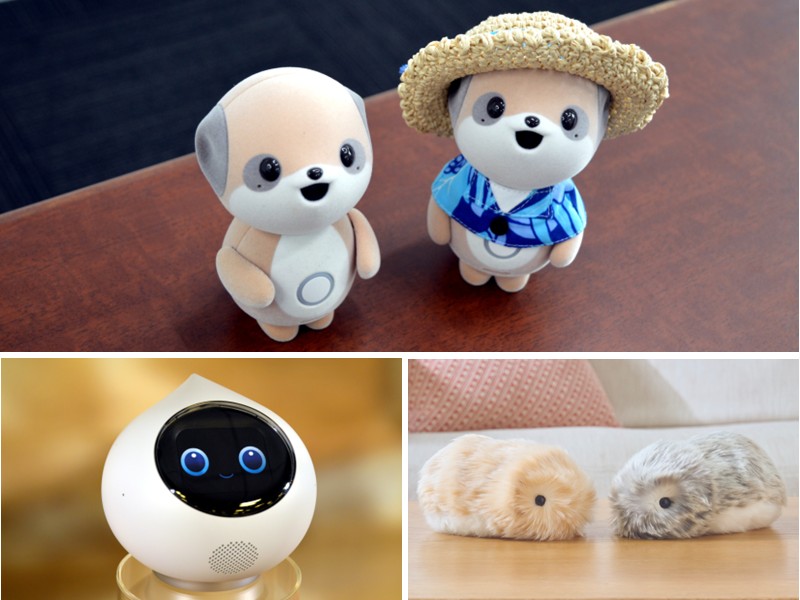 シャープ・MIXI・カシオが本腰入れるAIロボ、「記憶と学習」能力で強まる人間との絆