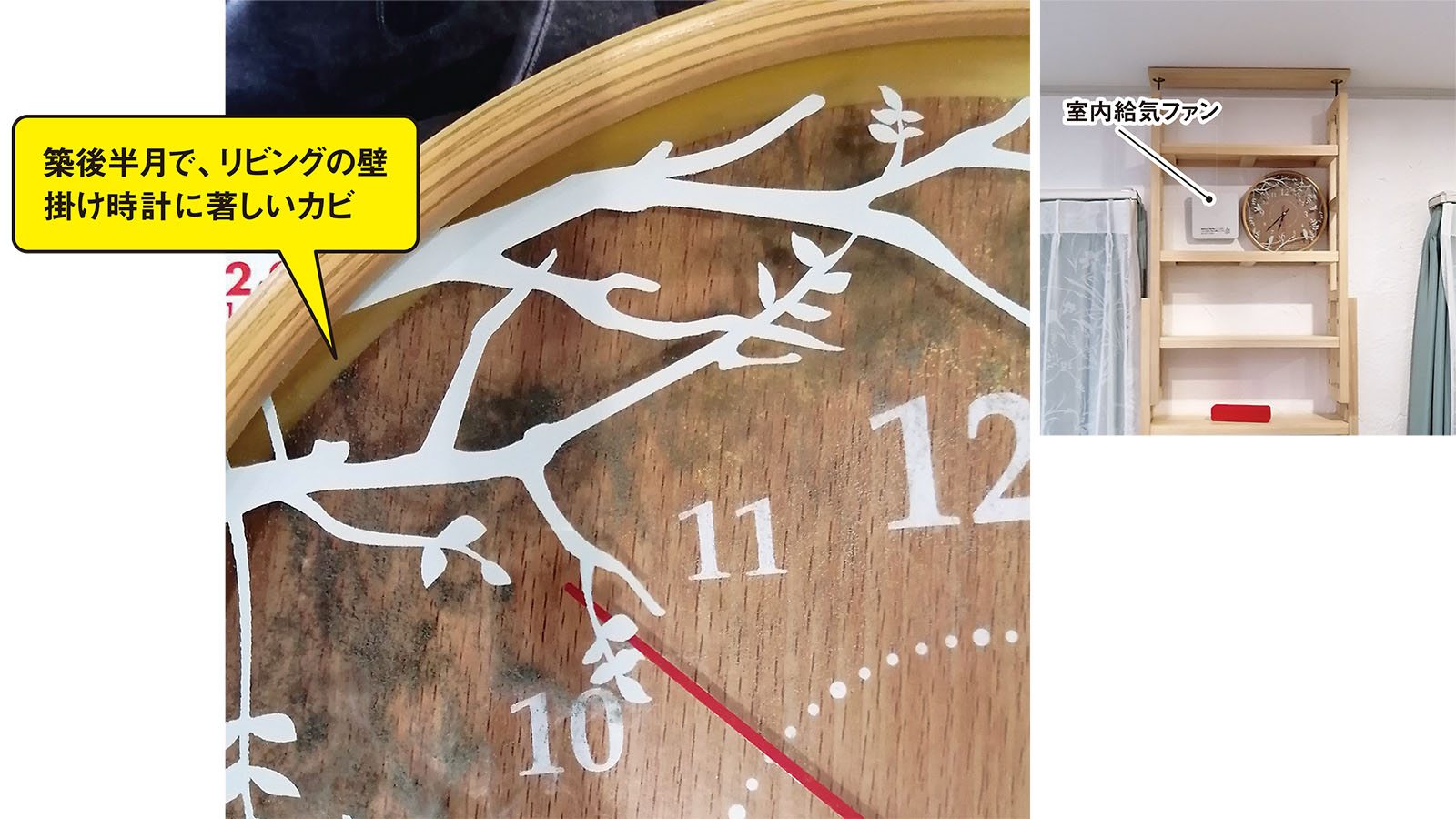 引き渡しから半月で家中がカビまみれ、独自の基礎断熱と換気方法が裏目に