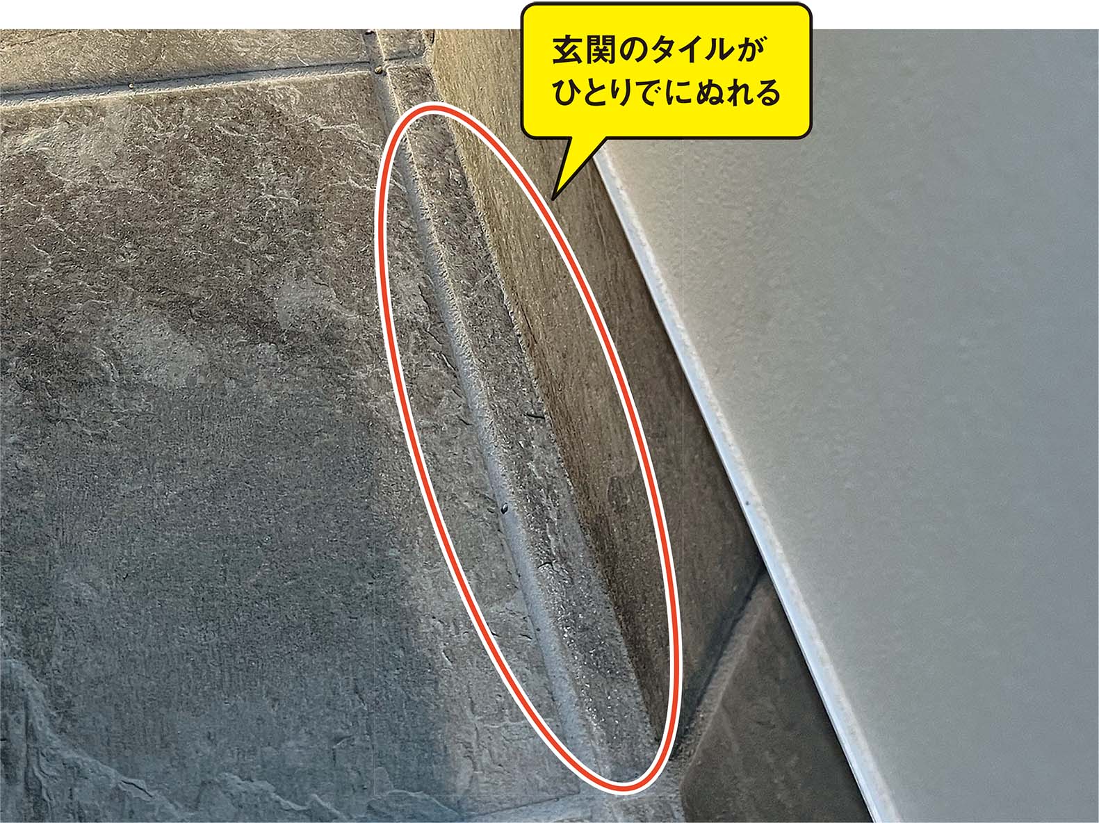 〔写真1〕基礎内断熱の玄関で結露が発生