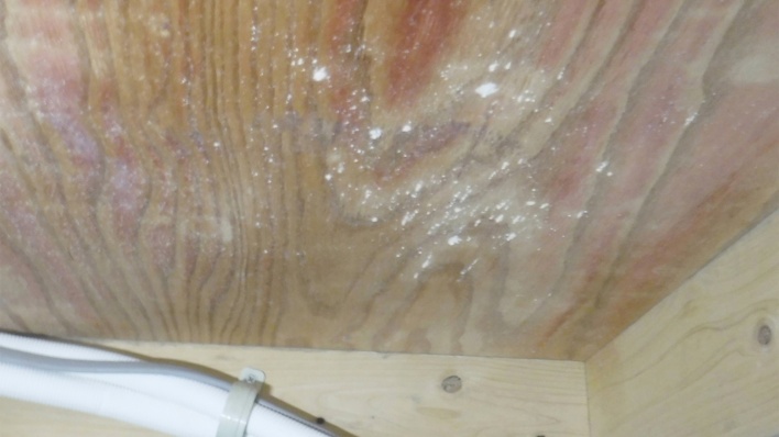 達人が図解!高断熱住宅の結露・カビ徹底対策