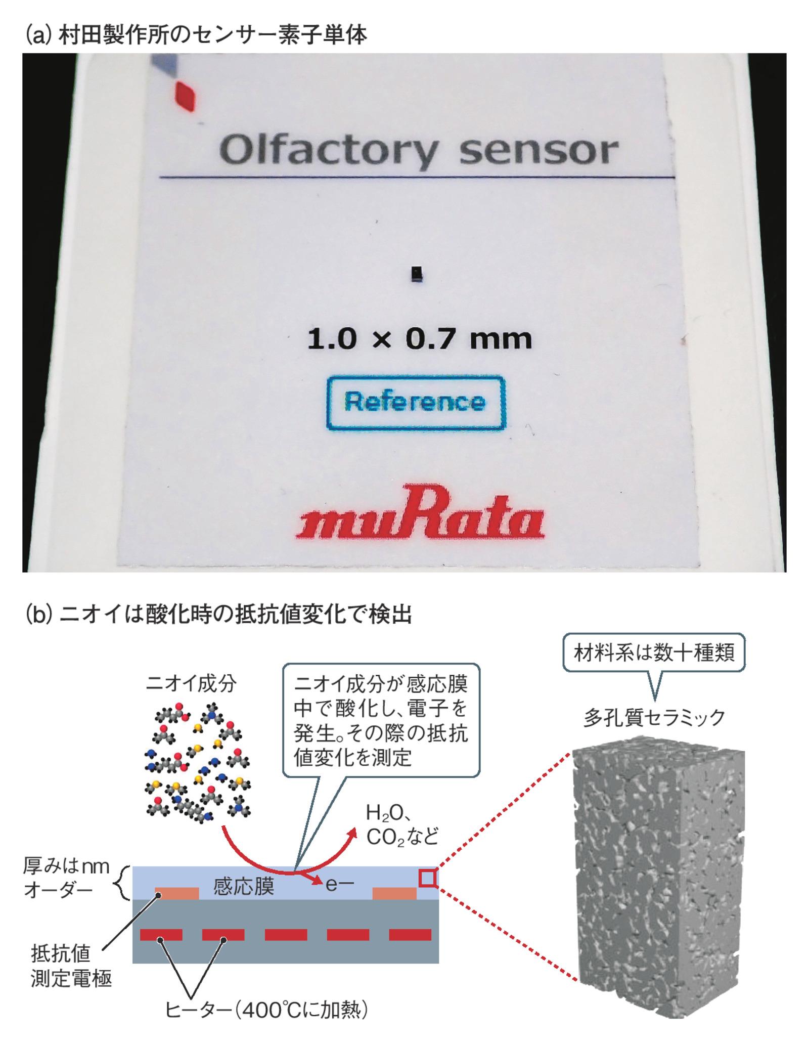 変わる嗅覚センサー、「モノクロ」から「多色」へ フィジカルAIも刷新