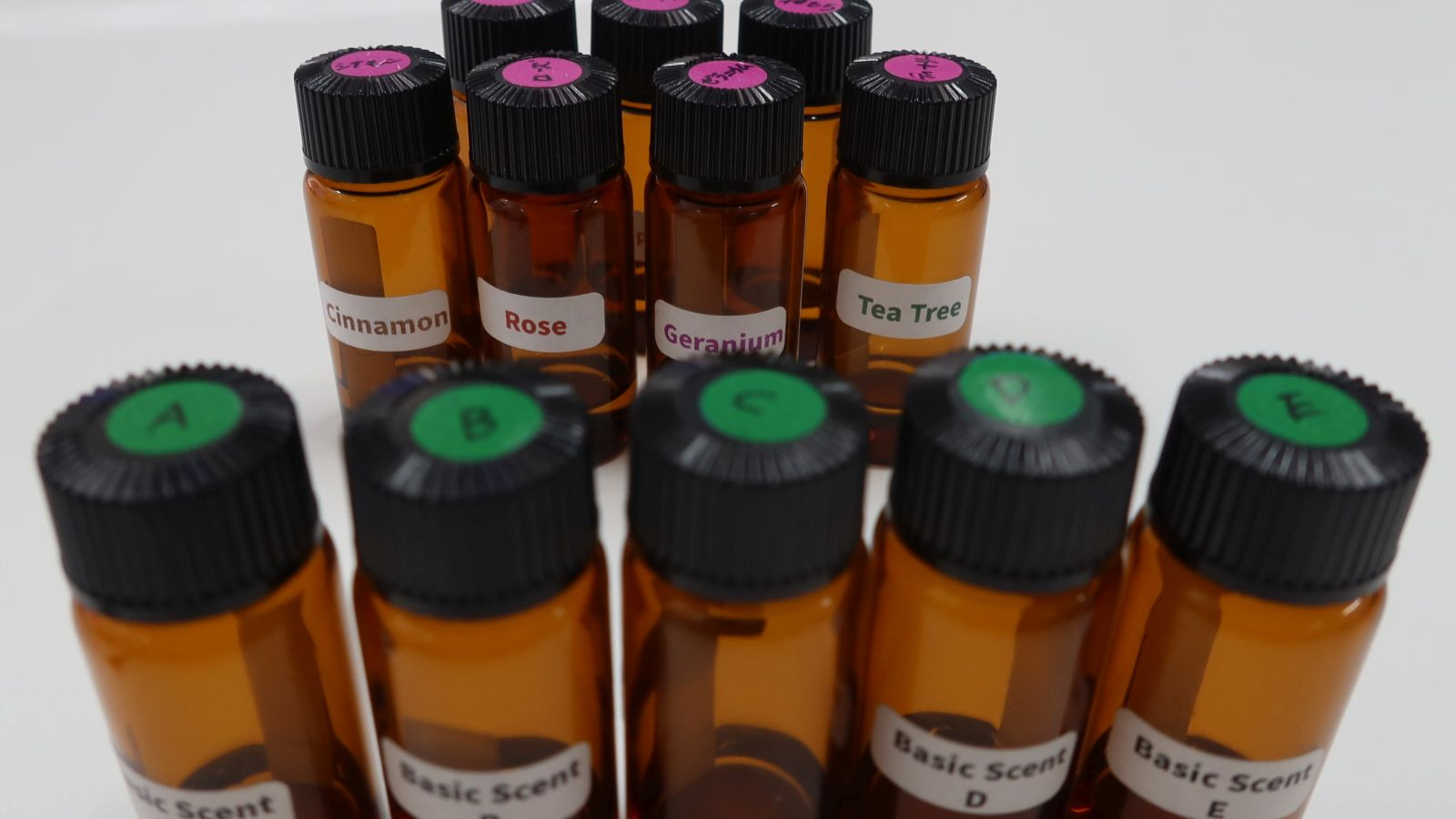 嗅覚の完全数値化が実現へ