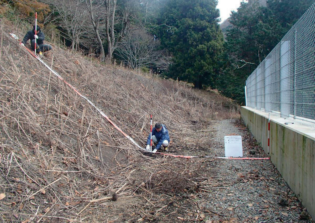 滋賀県が整備した待ち受け式擁壁。斜面と擁壁との間が設計よりも狭く、崩壊土砂の捕捉容量が不足した（写真：滋賀県）