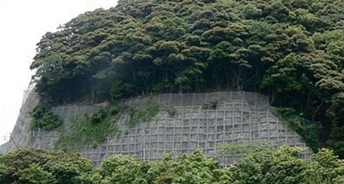 落石対策工事で問題があった斜面(写真:兵庫県)