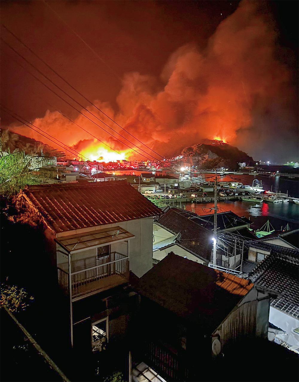 〔写真2〕山林にも延焼