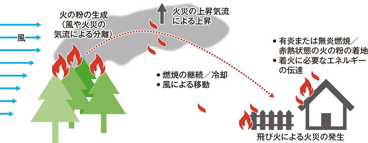 〔図2〕遠隔地まで延焼させるメカニズム