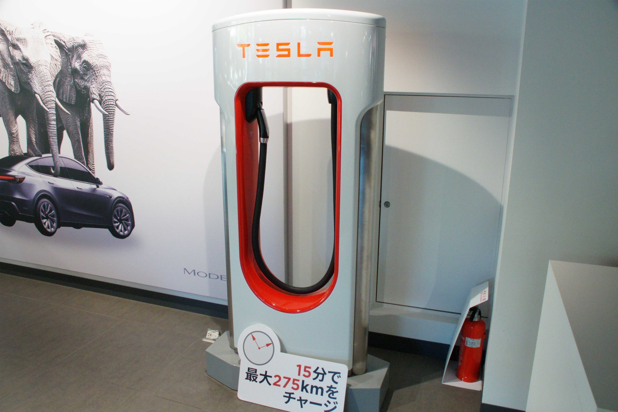 伸び悩むテスラ、6人乗りモデルYLを日本投入 「ミニバン市場に成長余地