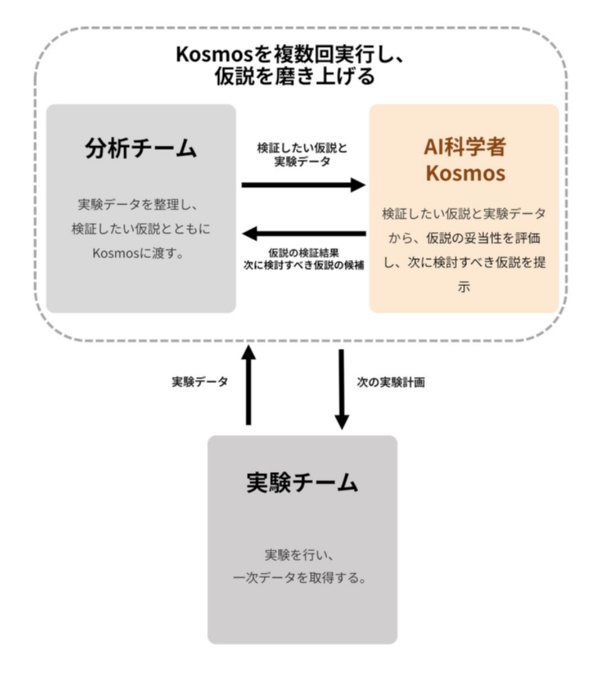 Craifの研究体制