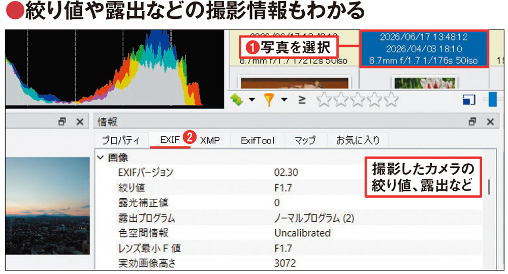 フォトより多機能な「XnView MP」 RAW表示やEXIF確認、編集も便利（2