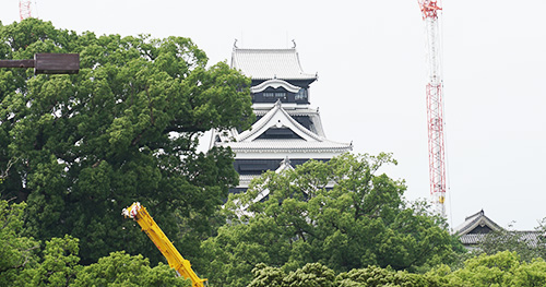 日本医療情報学会春季大会2019 日経クロステック Xtech