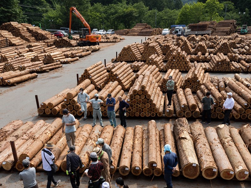 建設業界を襲う資材高騰の危機、木材もセメントも鋼材も足りない？