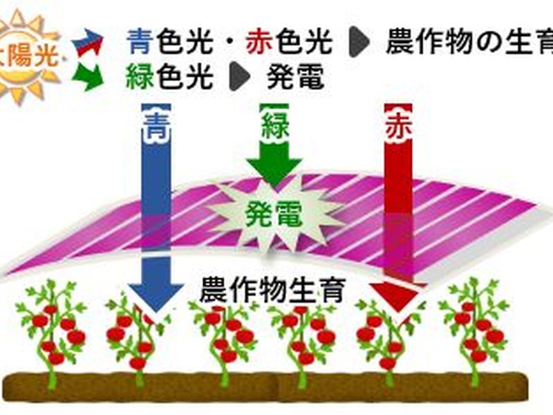 ペロブスカイトに強力ライバル／TSMCが圧巻の2nm技術／三菱商事が洋上風力で減損処理、損失は1兆円超え？