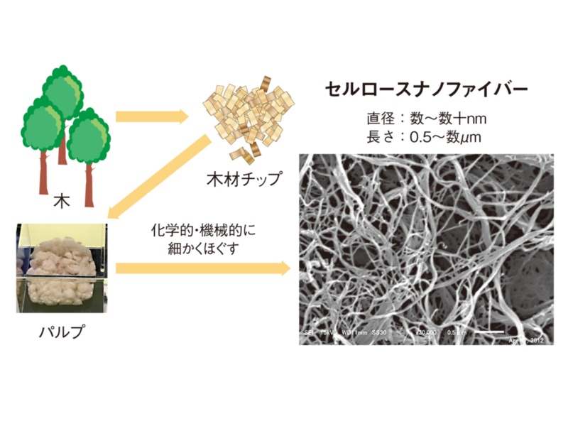 3分でわかる セルロースナノファイバー 日経クロステック Xtech 3分でわかる セルロースナノファイバー 日経クロステック Xtech