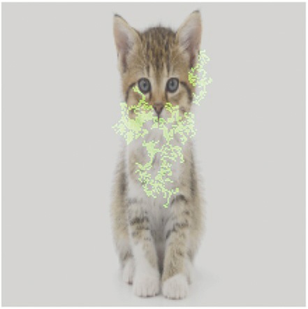 図2 画像から「猫」を検出する機械学習モデルについて、画像内のどのピクセルが検出に大きく寄与したかを緑色で示した