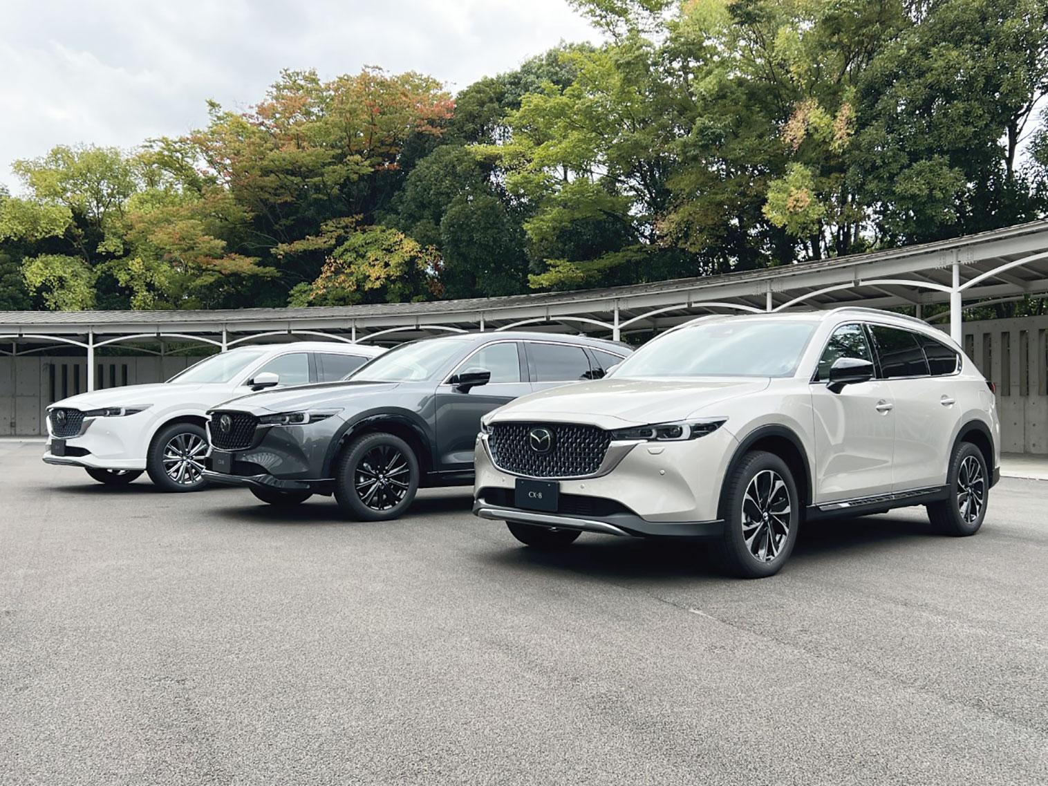 マツダ「CX-8」改良、頭の揺れ減らし酔いにくく | 日経クロステック